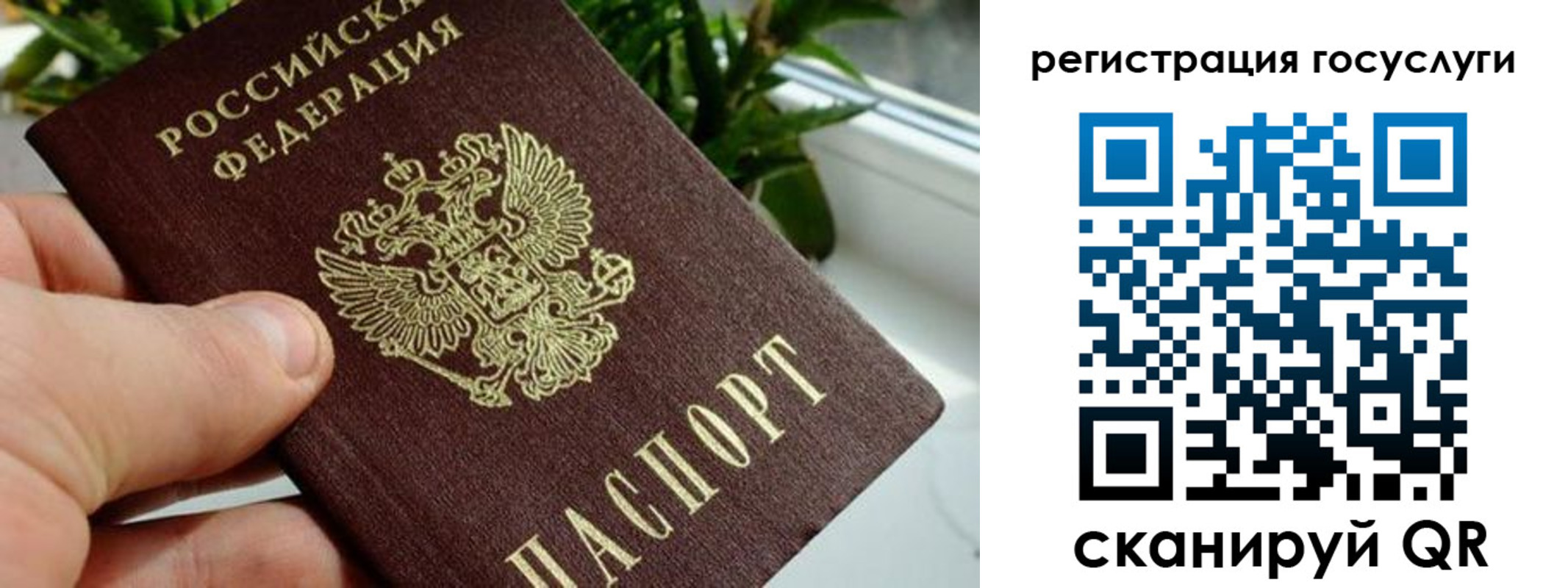 прописка для кредита в Козловке